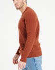 Pure Cashmere Cable Knit Round Neck Sweater (Zach 5)