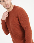 Pure Cashmere Cable Knit Round Neck Sweater (Zach 5)