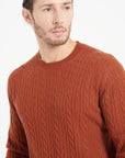Pure Cashmere Cable Knit Round Neck Sweater (Zach 5)