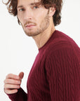 Pure Cashmere Cable Knit Round Neck Sweater (Zach 5)