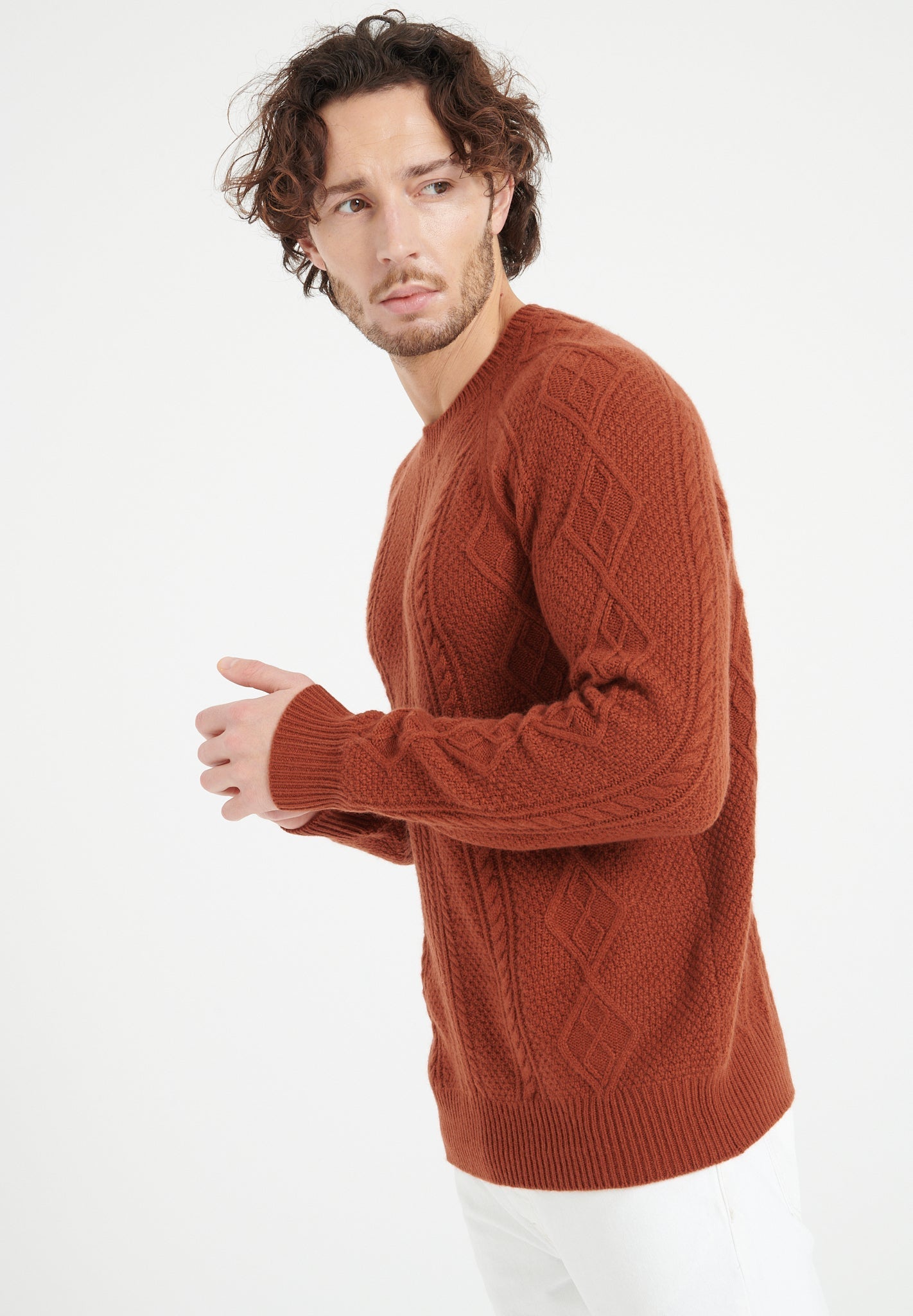 Pure Cashmere 6 ply Round Neck Sweater w/Cable Knit (Zach 1)