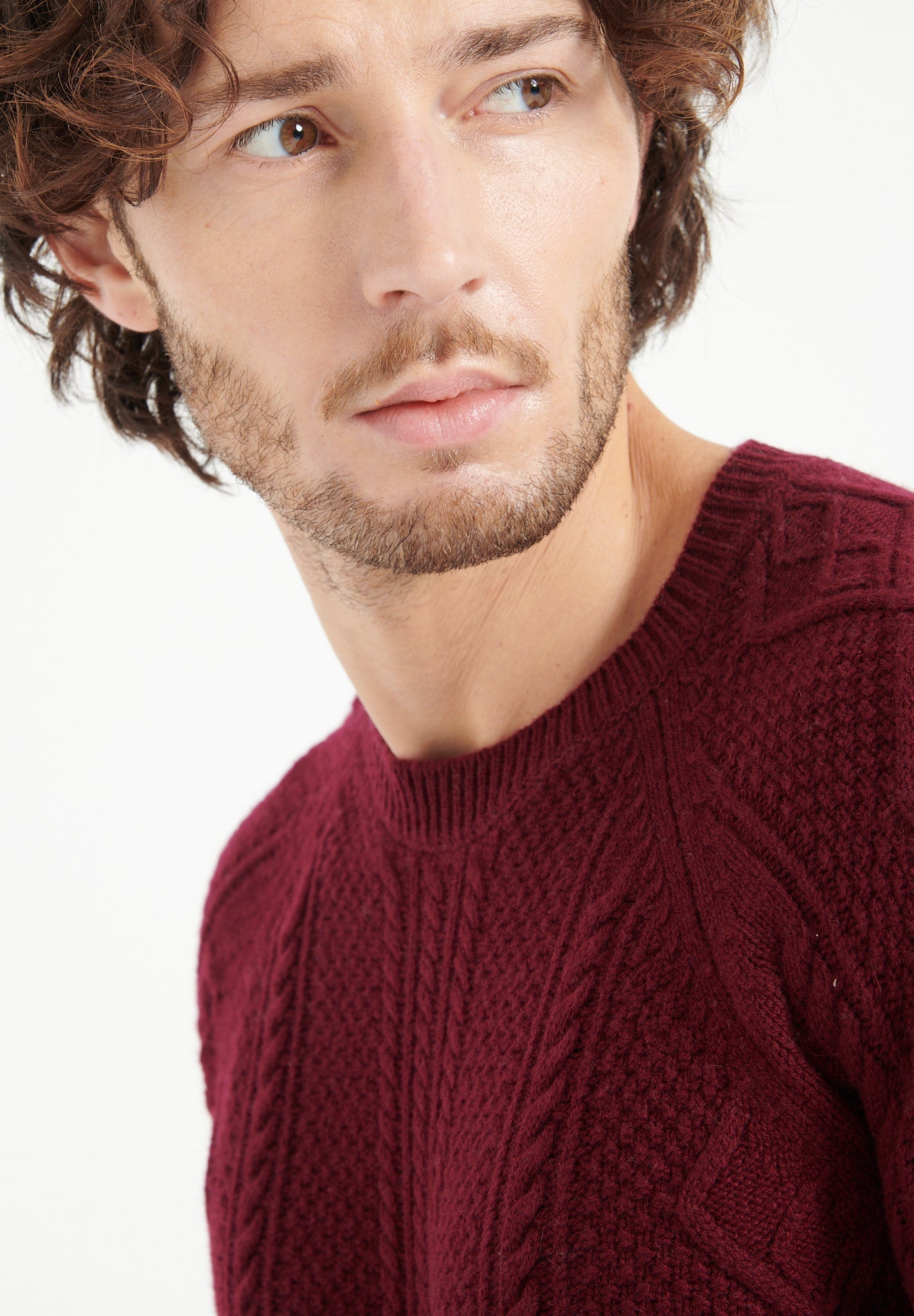 Pure Cashmere 6 ply Round Neck Sweater w/Cable Knit (Zach 1)