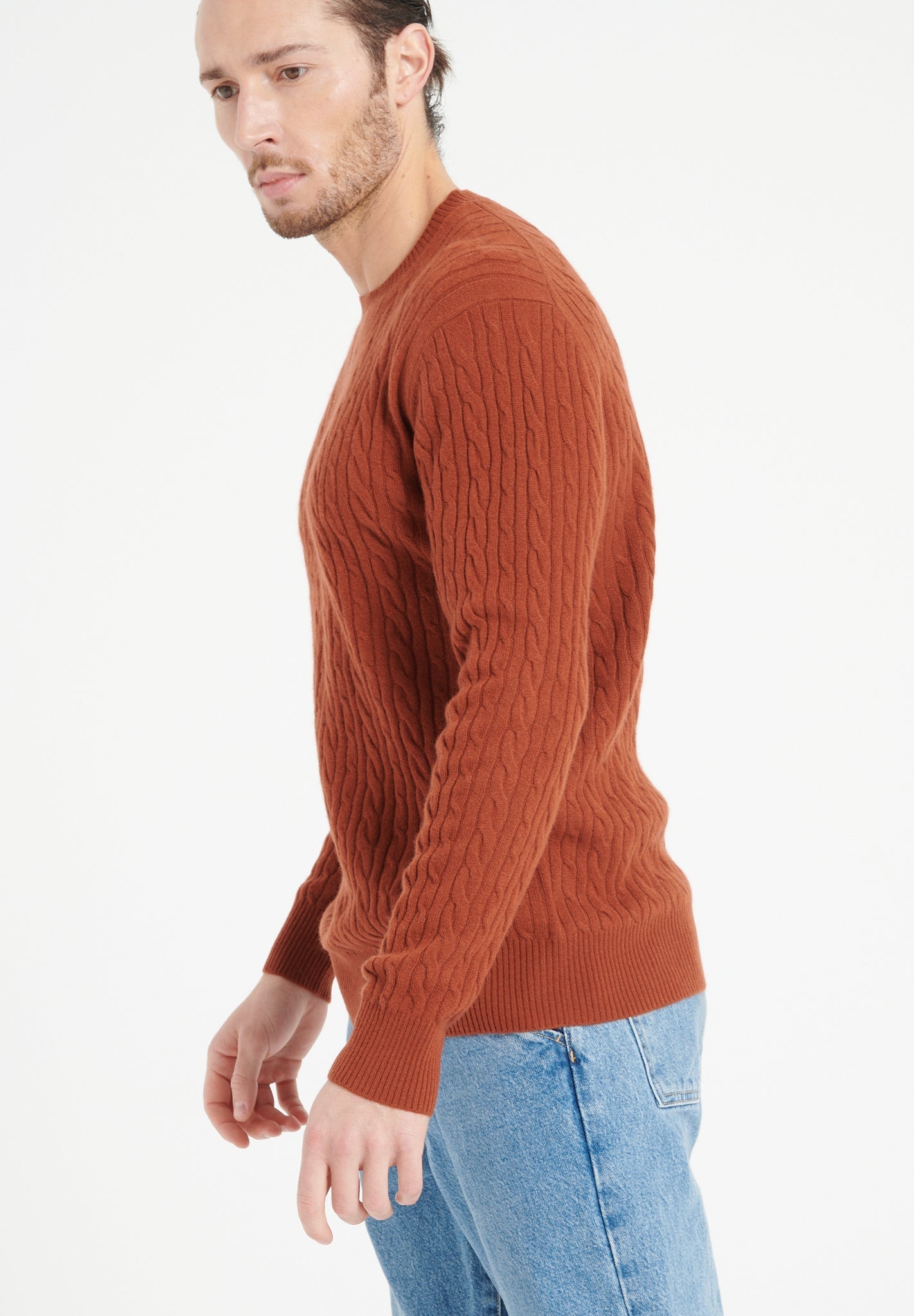Pure Cashmere Cable Knit Round Neck Sweater (Zach 5)