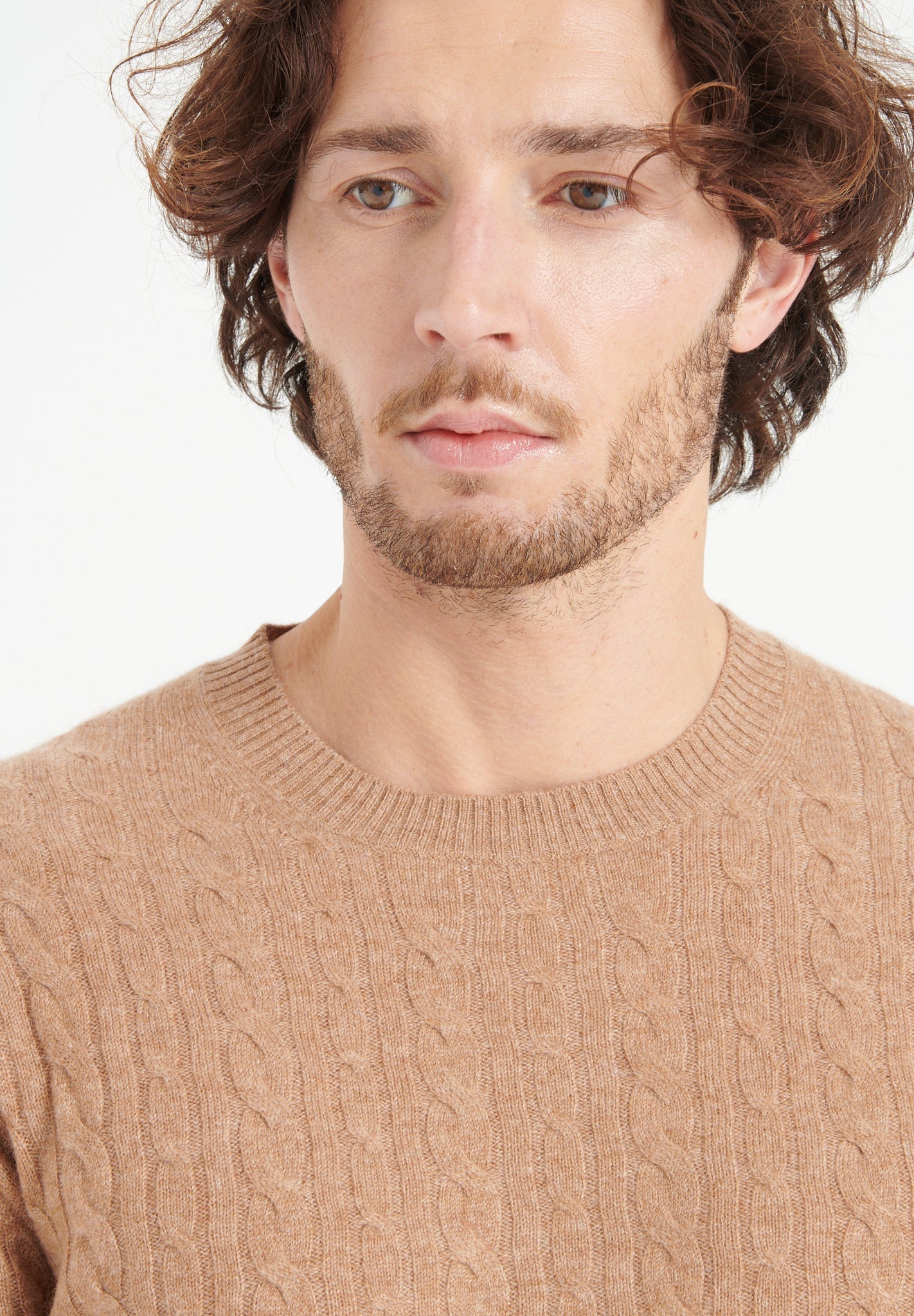 Pure Cashmere Cable Knit Round Neck Sweater (Zach 5)