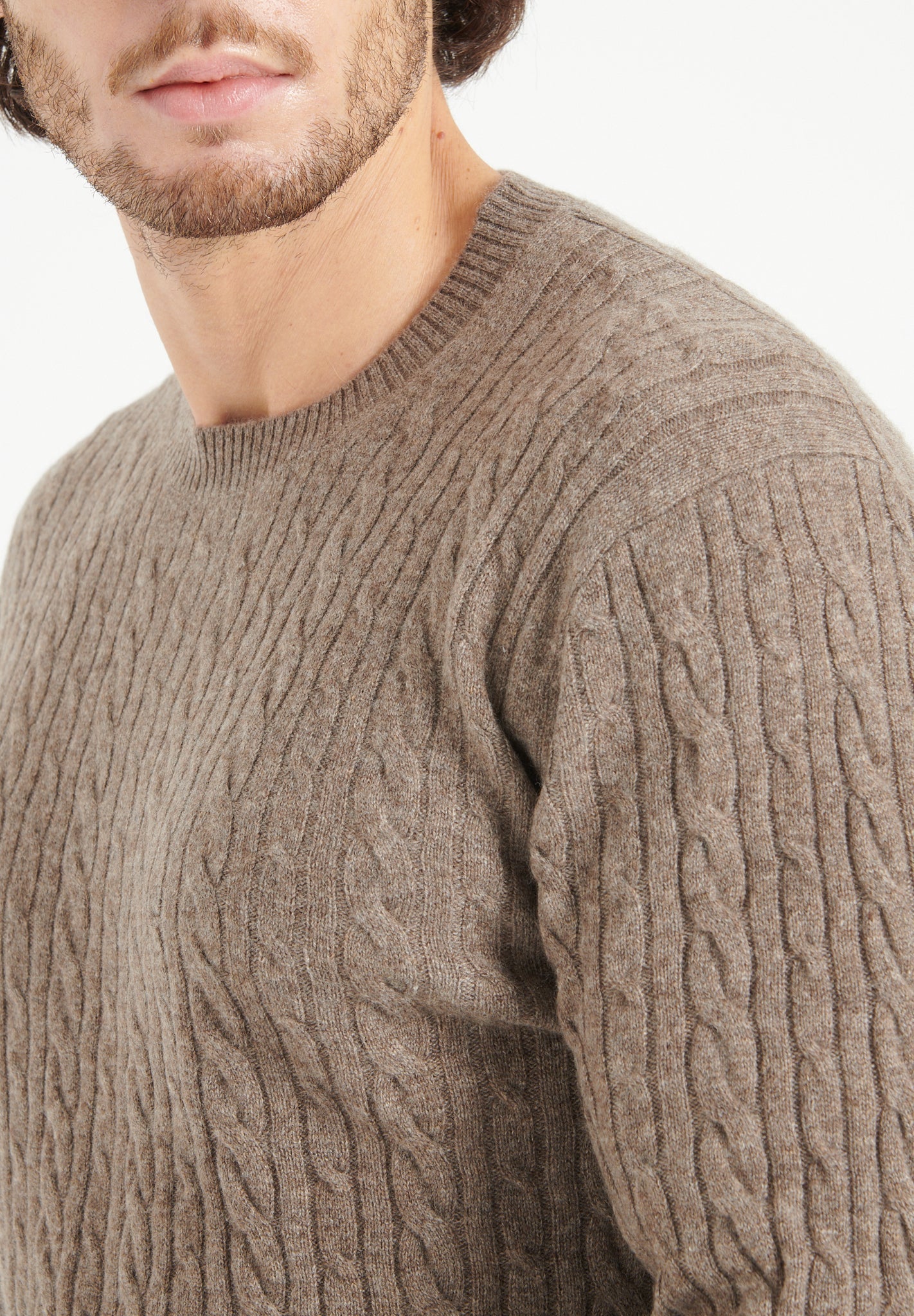 Pure Cashmere Cable Knit Round Neck Sweater (Zach 5)